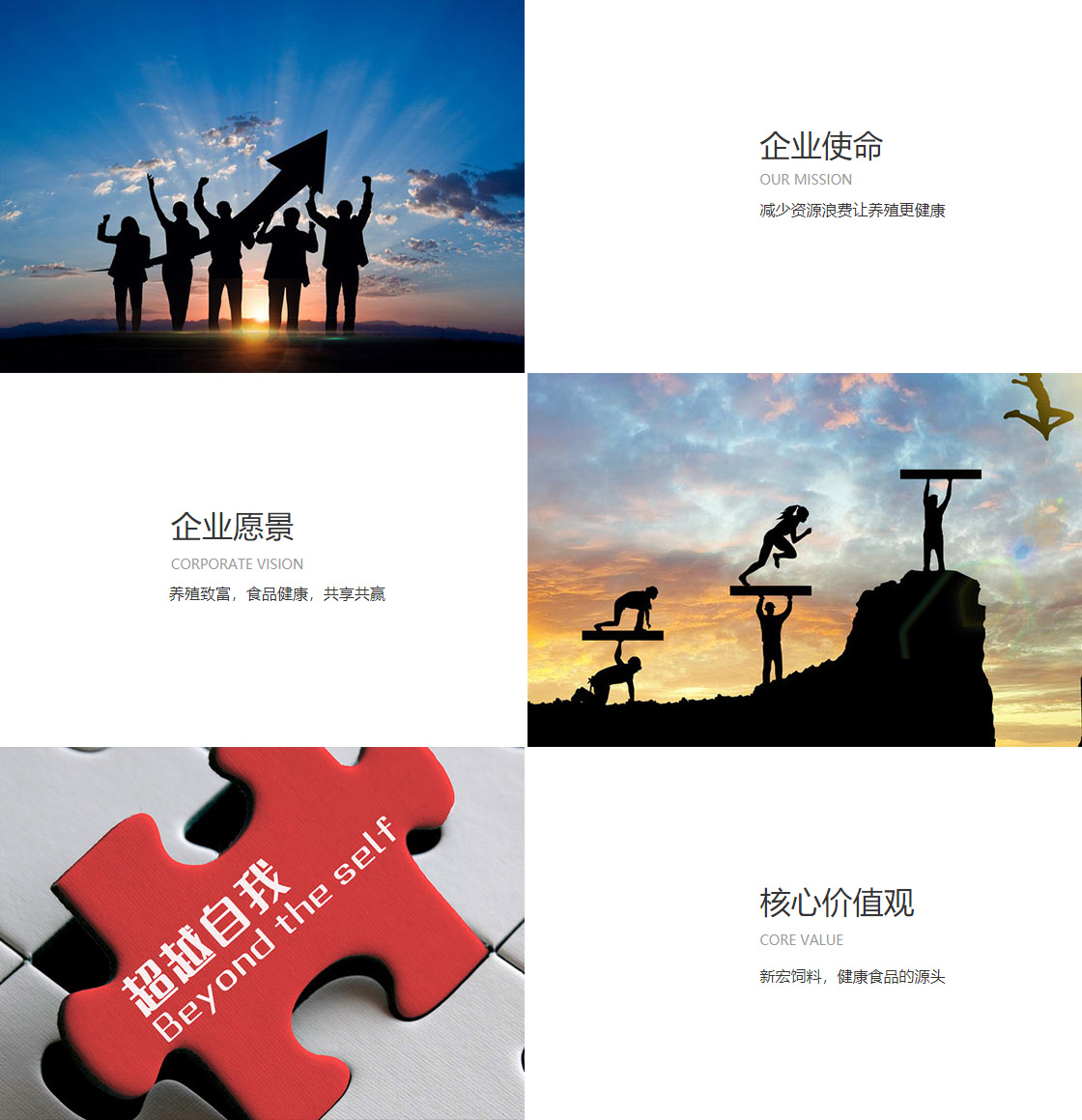 澳门十大正规网站排行榜(图1)